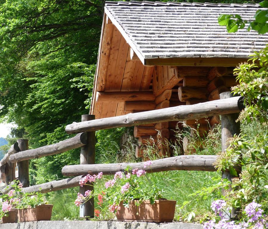 Logis Hotel Restaurant La Petite Auberge Alsace Le Hohwald Esterno foto