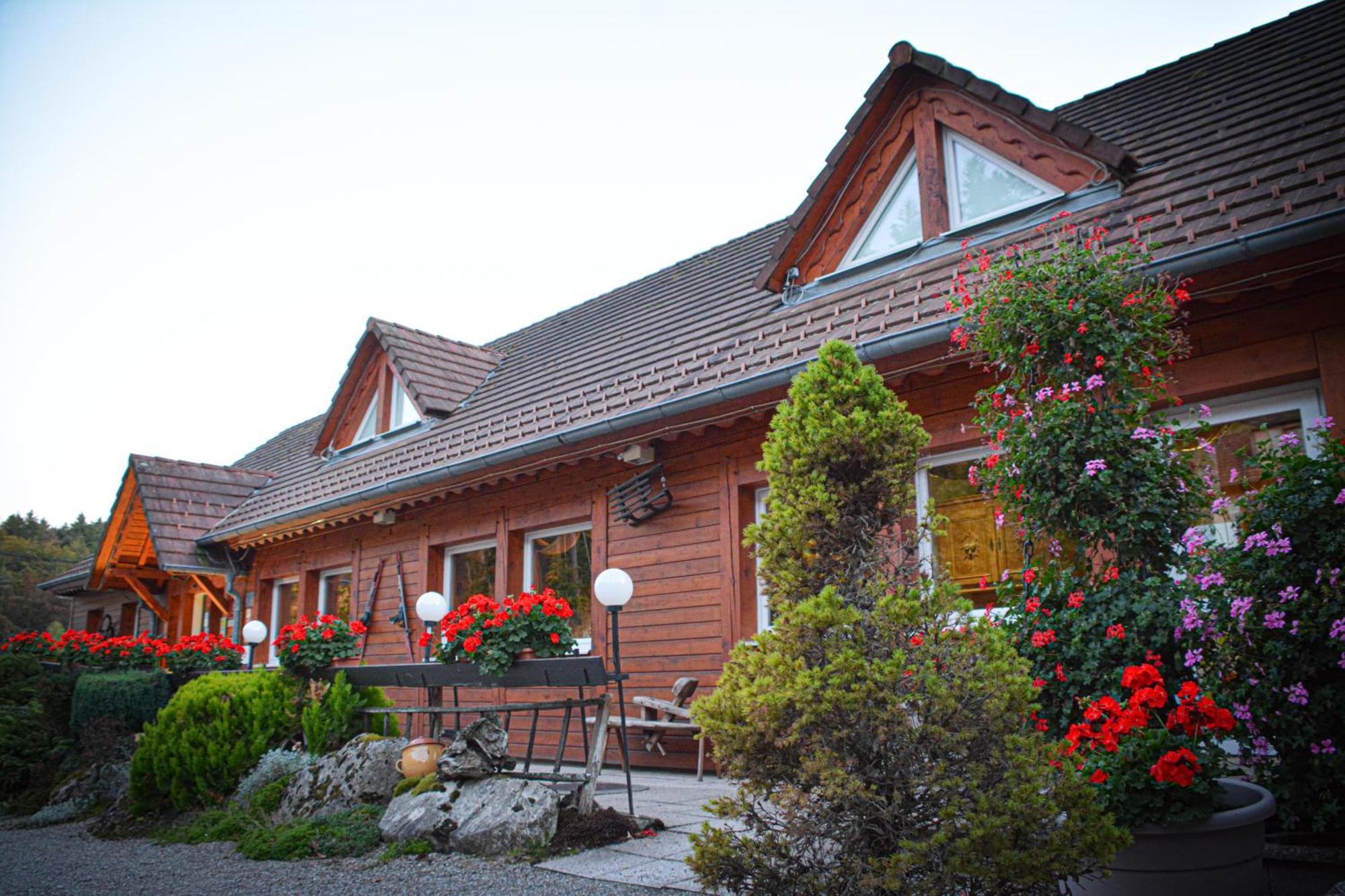 Logis Hotel Restaurant La Petite Auberge Alsace Le Hohwald Esterno foto